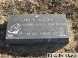 Gary C. Watson