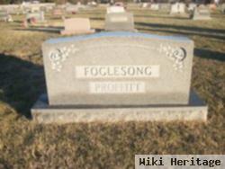 William Hoy Foglesong