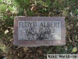 Floyd Albert Heckman