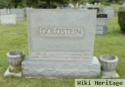 Sol M Goldstein