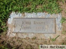 C. Ione Blevin Evans