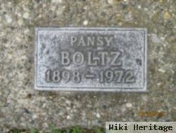 Pansy Boltz