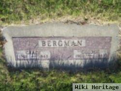 George M Bergman