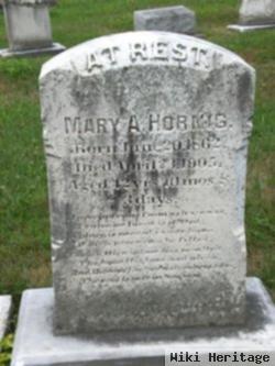 Mary Ann Hornig