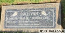 Raymond Treat Sullivan, Jr