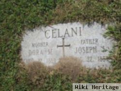 Joseph J Celani