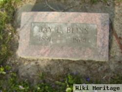 Jay L Bliss