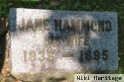 Jane Hammond Hart