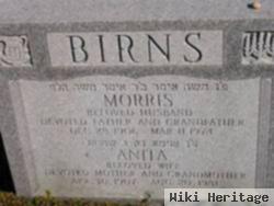 Morris Edwin "bob" Birns