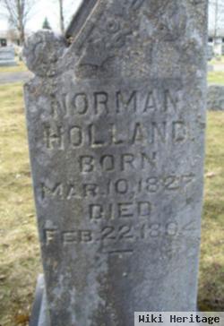 Norman Holland