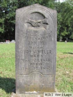 Ann M. White Wells