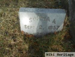 Sophia A Frank Young