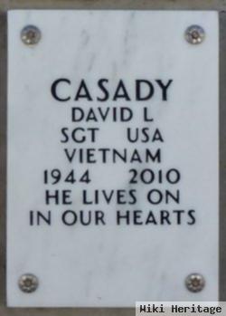 David Lee Casady