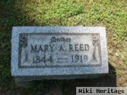 Mary A. Reed