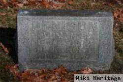 Luman S. Denison