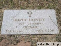 David J Kinsey