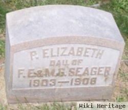 Percis Elizabeth Seager