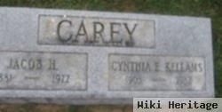 Cynthia E Kellams Carey