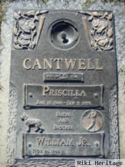 Priscilla Cantwell