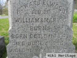 Howard Elwood Burns