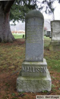 George W Mallison