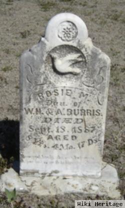 Rosie M. Burris