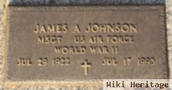 James A Johnson