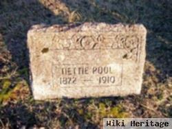 Nettie Pool