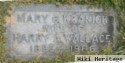 Mary G Wallace