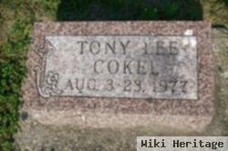 Tony Lee Cokel