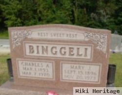 Mary J. Kresl Binggeli