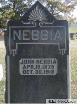 John Nebbia