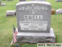 Theodore C. Snell