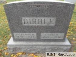 Louis O Dibble