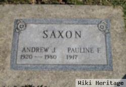 Andrew J Saxon