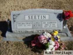 Thelma Grace Ogden Seetin