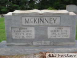 Albert T Mckinney, Sr