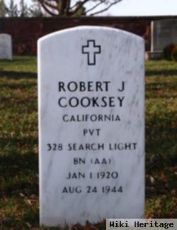 Robert J Cooksey