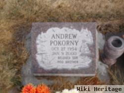 Andrew Pokorny