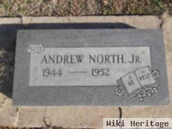 Andrew North, Jr