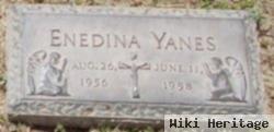 Enedina Yanes