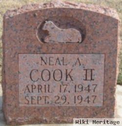 Neal Anderson Cook, Ii