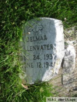 Delmar Gillenwater