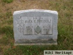 Mark E Breiholz