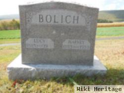 Harvey Bolich