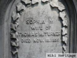 Sophia M Turner