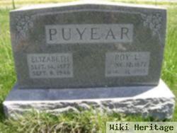 Sarah Elizabeth Allgood Puyear