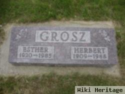 Herbert Grosz