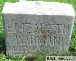 Elizabeth Wadman Mcinroy