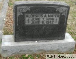 Aloysius A Mayer